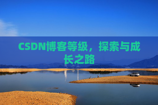 CSDN博客等级，探索与成长之路